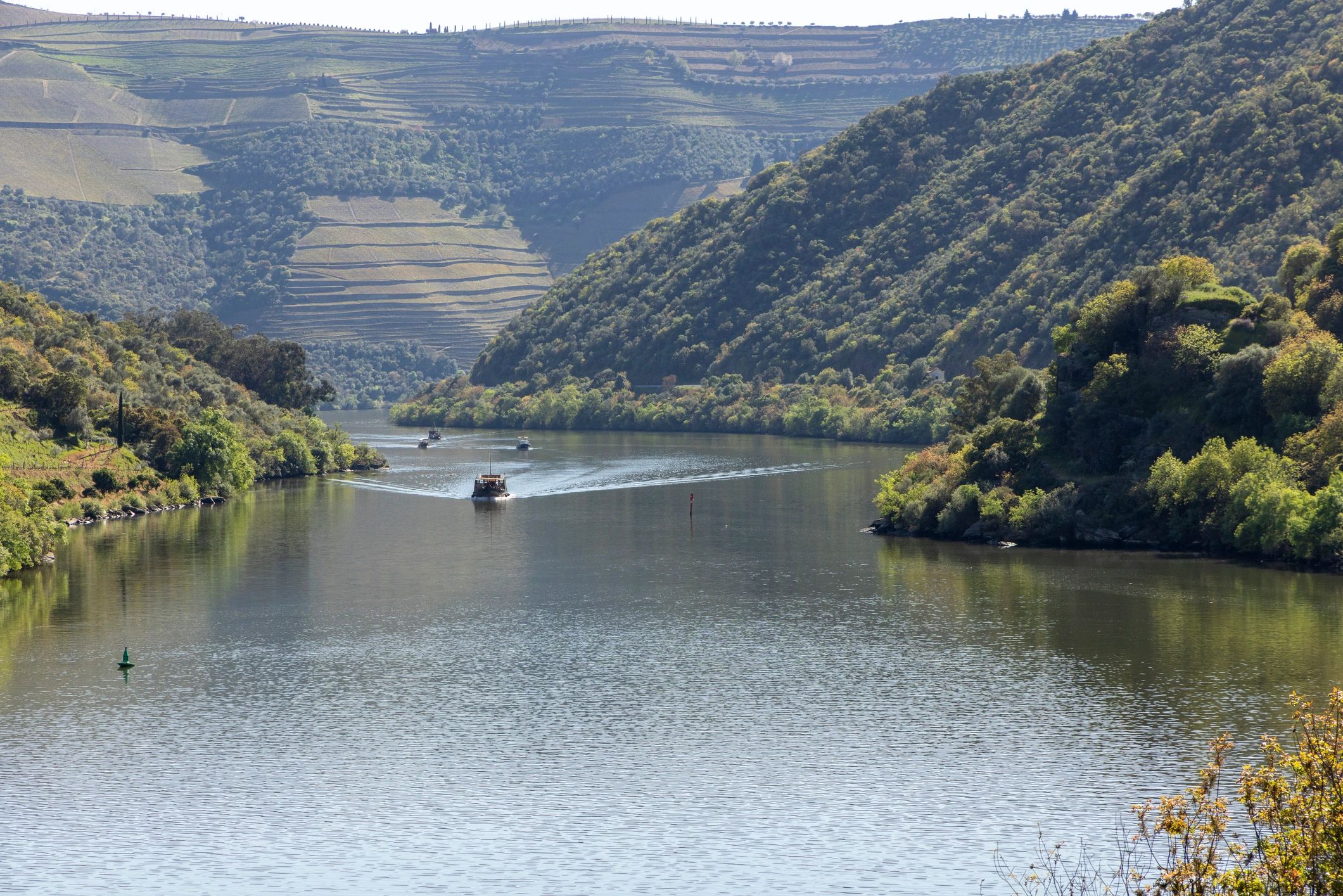 River boats cruising through the Douro valley vineyards